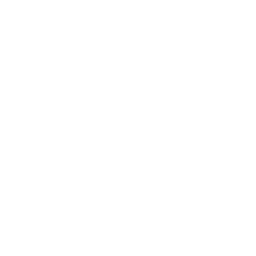 Roman Mentaltraining Logo